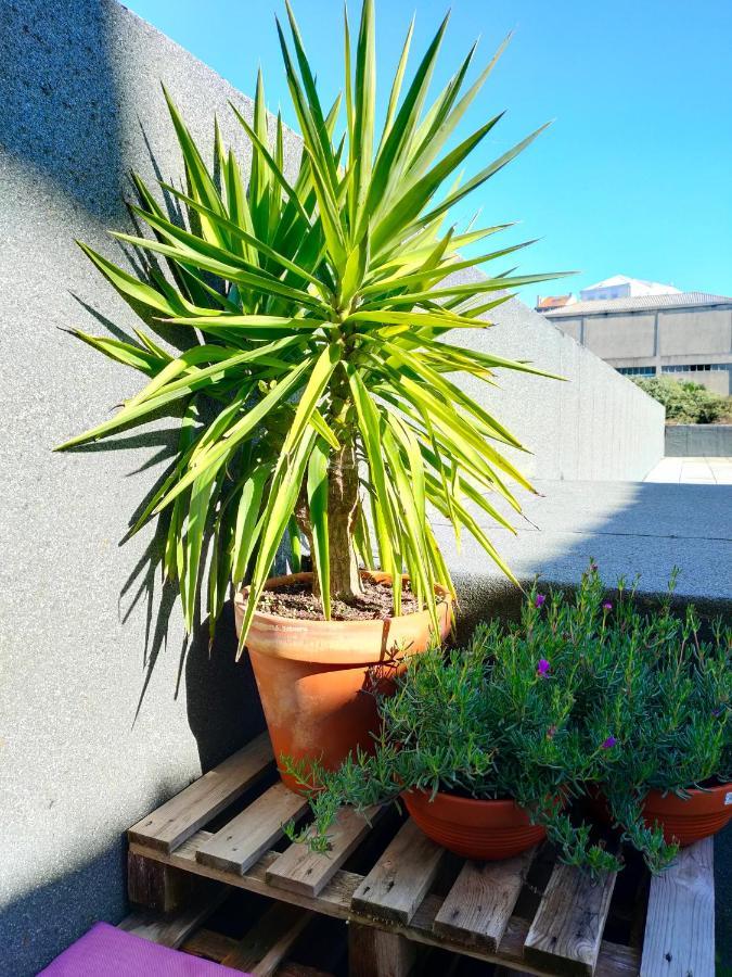 Porto Santa Catarina - Apartment With Terrace Экстерьер фото